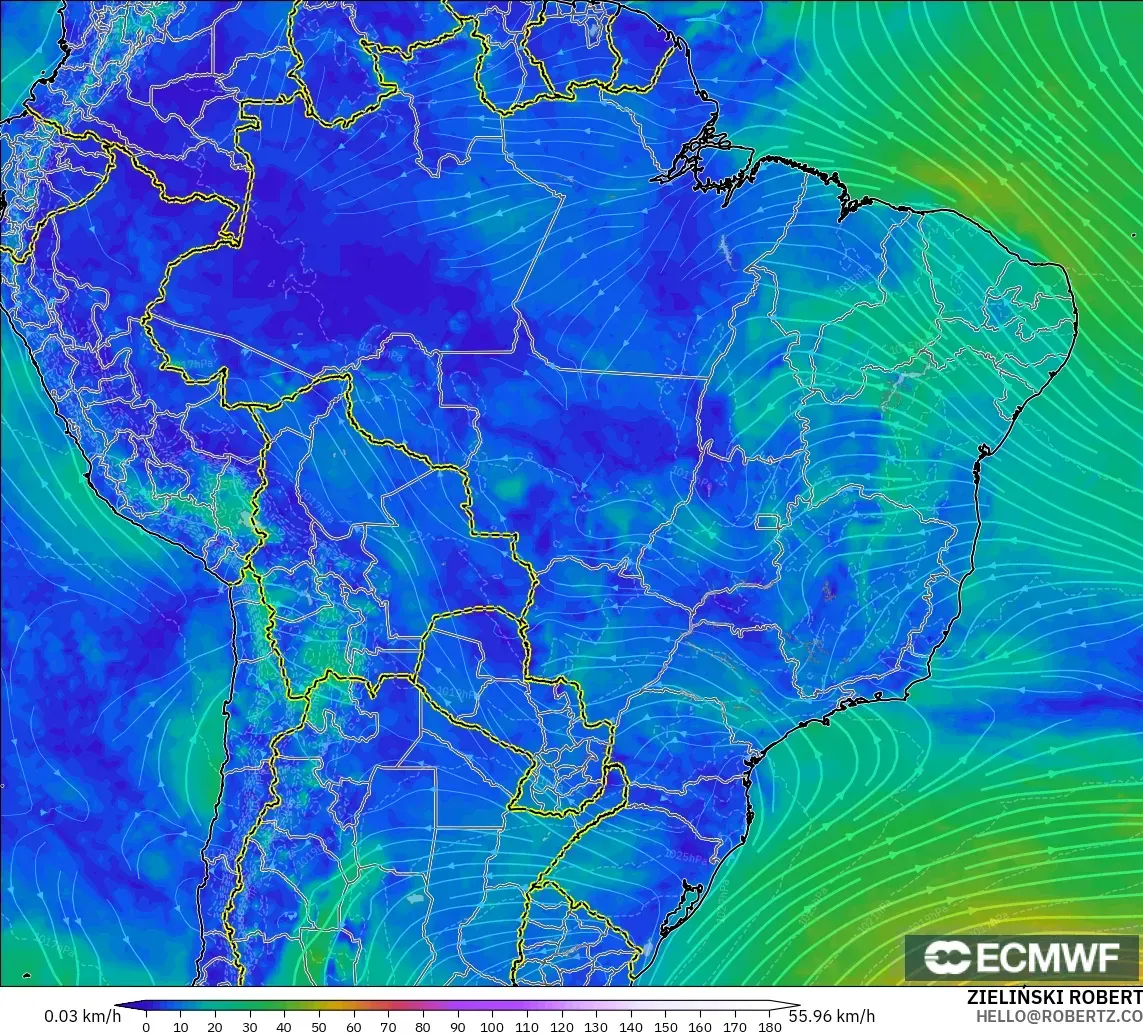 ECMWF IFS 0.25° model - Brazil, Wind at 10m