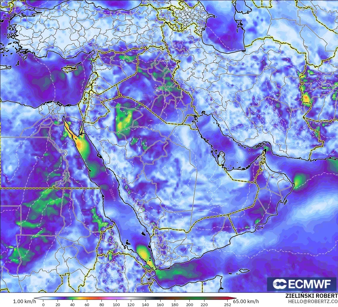 ECMWF IFS 0.25° model - Middle East, Wind Gusts Peak